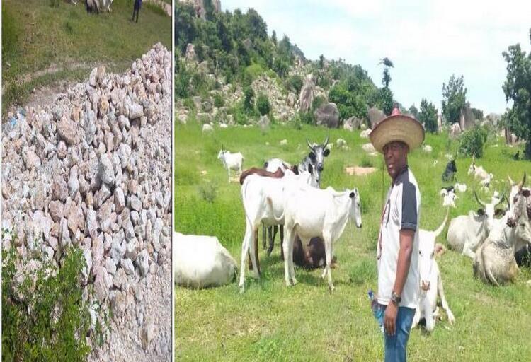 Mr. Ethel the mineral resources director at a Barite site in Adamawa
